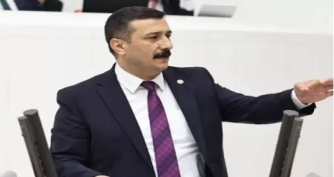 Bursa’nın “doğa incisi Longoz” neden kaderine terk edildi?