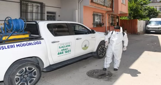 Bursa Osmangazi’de haşereye karşı anında müdahale