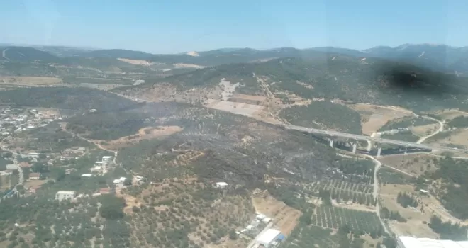Bursa Osmangazi’de orman yangını hızlı müdahalelerle kontrol altına alındı