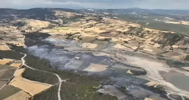 Bursa Yenişehir’deki orman yangını kontrol altındd