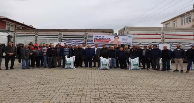 Büyükşehirden, üreticilere kuzu-oğlak yemi desteği