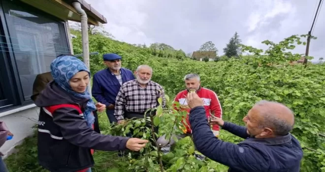 Büyükşehirin aşı ’Ordu’su büyüyor