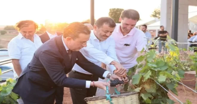 Çal Bağbozumu Festivali kültürle renklendi