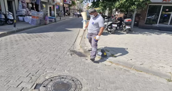 Çanakkale’de sinek alarmı