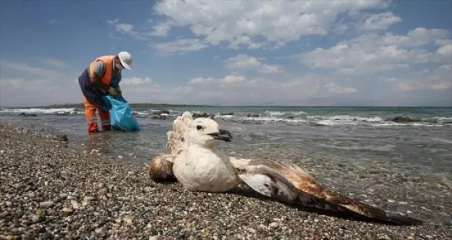 Çevrenin korunmasına yönelik teklif yasalaştı