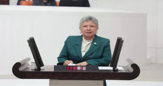 CHP’li Yontar: Zeytini kömüre feda etmek geleceğe ihanettir!