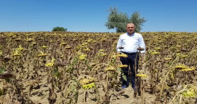 CHP Tekirdağ Milletvekili Aygun’dan kuraklık için yasa teklifi