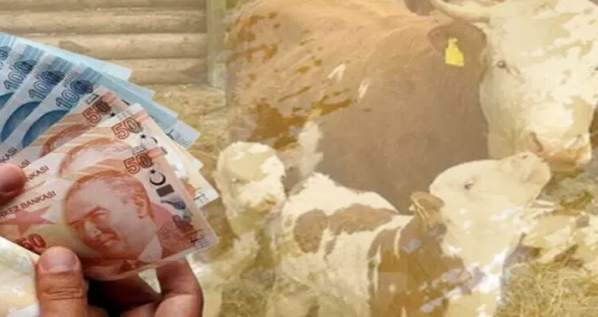 Çiftçiye 350,9 milyon TL destek ödemesi hesaplarda