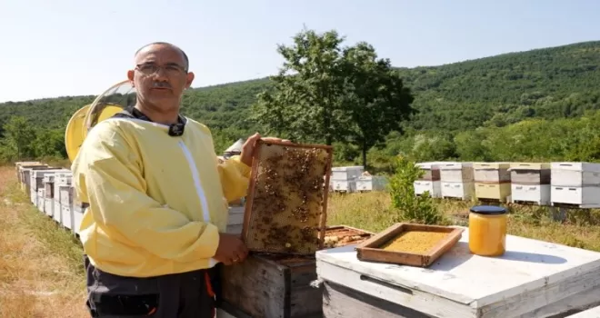 Coğrafi işaretli ’Yalova Kestane Balı’ sofralarda parlıyor
