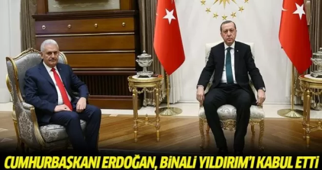 Cumhurbaşkanı Erdoğan, Başbakan Yıldırım'ı kabul etti