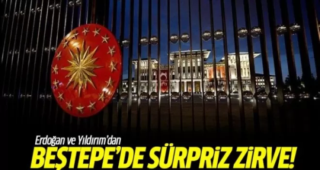 Cumhurbaşkanı Erdoğan, Başbakan Yıldırım'ı kabul etti