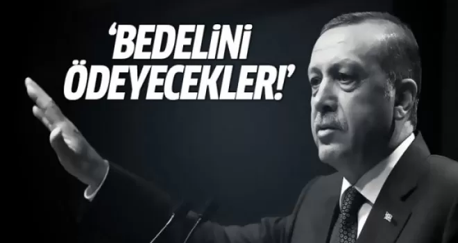 Cumhurbaşkanı Erdoğan'dan Hollanda'ya: Bedelini ödeyecekler!