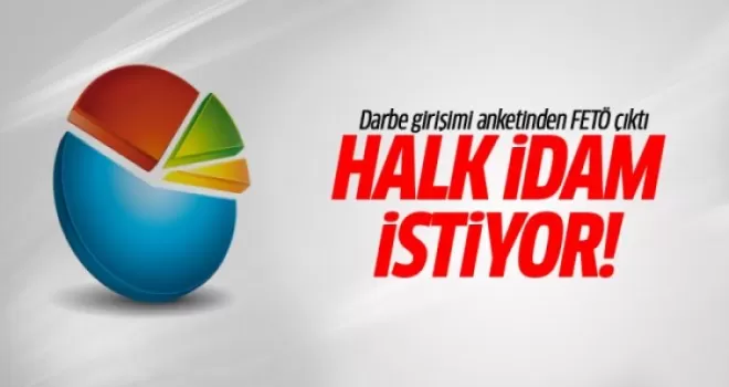 Darbe girişimi anketinden FETÖ çıktı