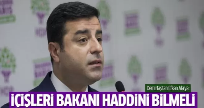 Demirtaş'tan Efkan Ala'ya: İçişleri Bakanı haddini bilmeli