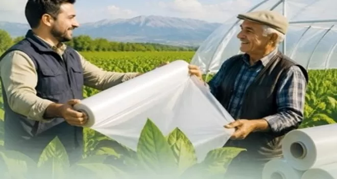 Denizli Büyükşehir’den tütün üreticisine destek