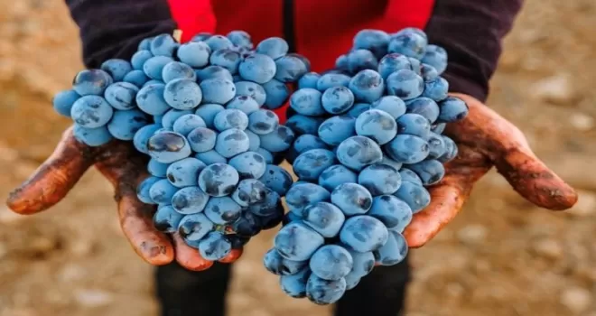 Denizli’de Çal Karası Sempozyumu 3.500 yıllık mirası gün yüzüne çıkaracak