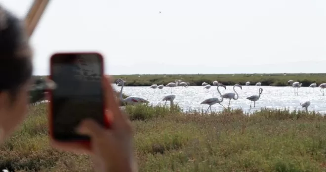 Doğa ve lezzet tutkunları bu turları çok sevecek