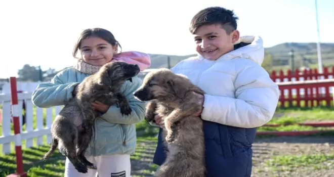 Doğa ve patili dostlar İzmir’de şifa dağıtıyor