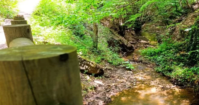 Doğanın kalbi Küçükelmalı’da atıyor