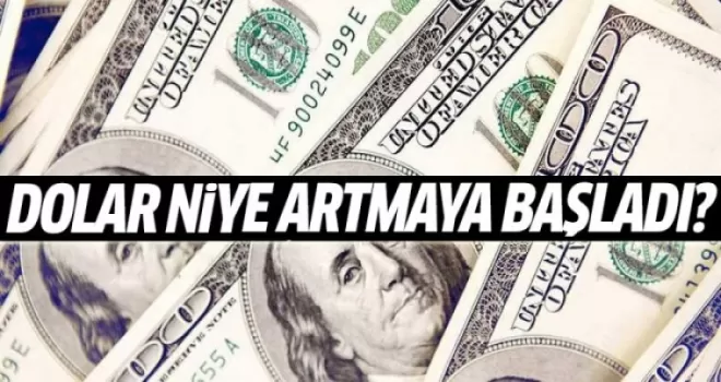 Dolar Niye Artmaya Başladı?