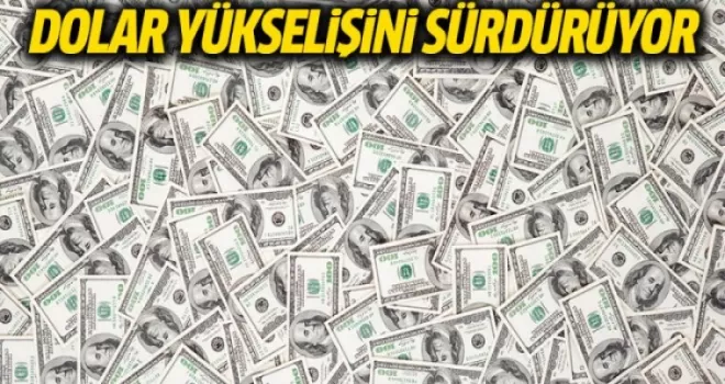 Dolar ve Euro Yükseldi. Dolar  6.60'ın üzerinde işlem gördü