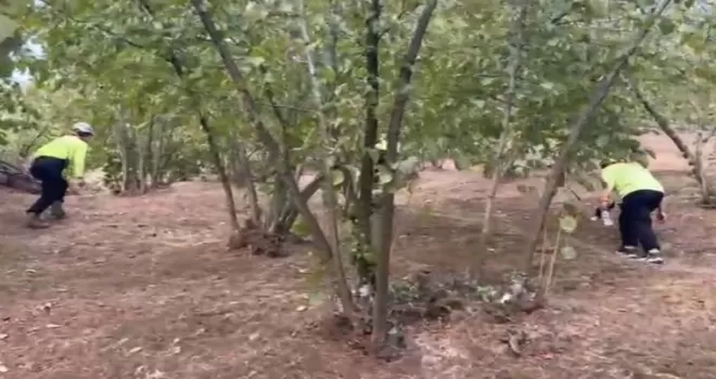 Düzce’de 81 yaşındaki kayıp kadın aranıyor