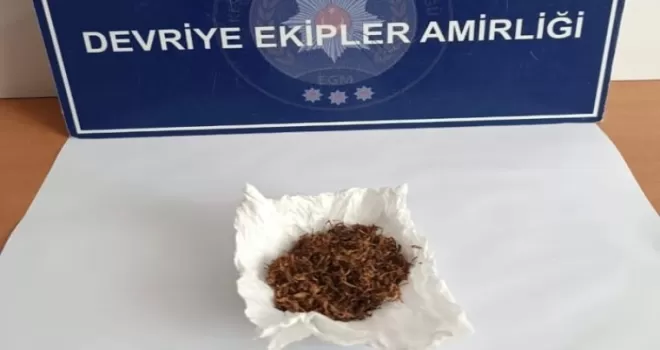 Edirne Keşan’da narkotik denetimi