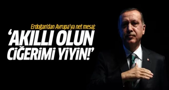 Erdoğan'dan Avrupa'ya net mesaj: Akıllı olun ciğerimi yiyin!