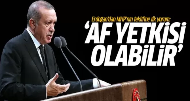 Erdoğan'dan MHP'nin teklifine ilk yorum: Af yetkisi olabilir