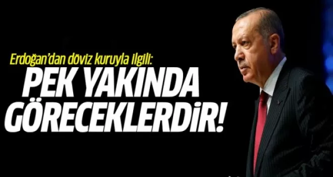 Erdoğan Döviz Kuruyla İlgili: Pek Yakında Göreceklerdir