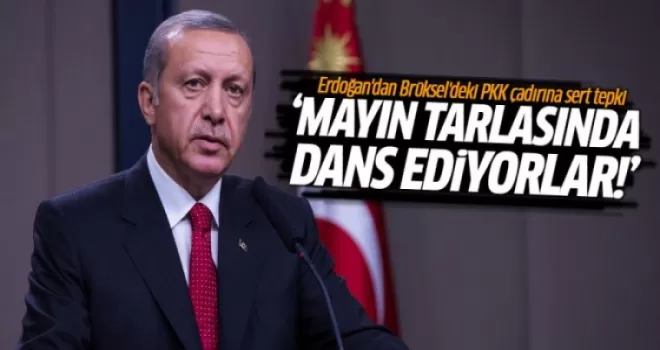 Erdoğan: Koynunuzda yılan besliyorsunuz
