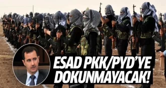 Esad, PYD'ye operasyon yapmama sözü verdi!