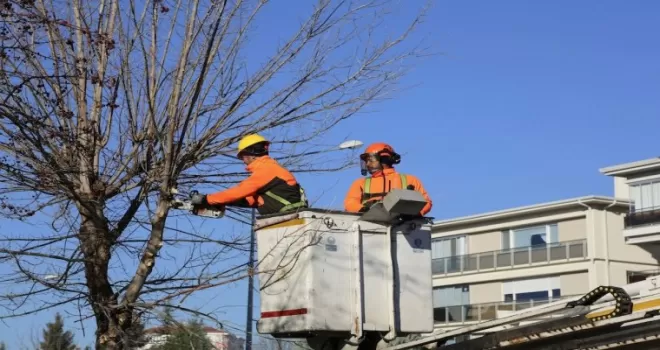 Eskişehir Büyükşehir’den ağaçlara kış bakımı
