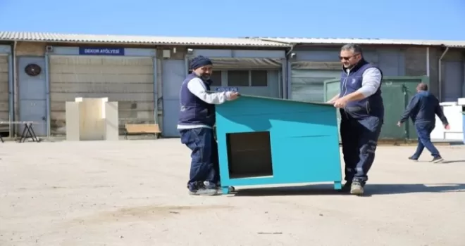 Eskişehir Büyükşehir’den hayvan bakımevi hazırlığı