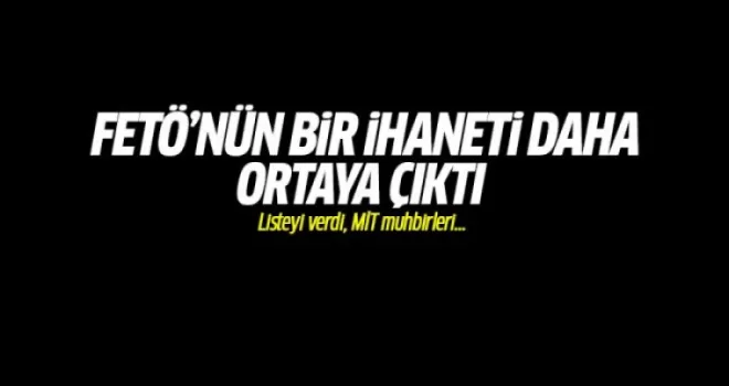 FETÖ listeyi verdi, MİT muhbirleri infaz edildi