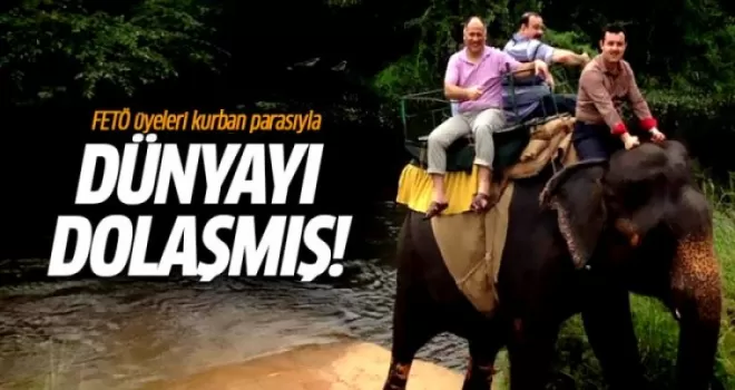 FETÖ üyeleri fil üzerinde safari yapmışlar!