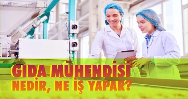 Gıda Mühendisi nedir, ne iş yapar?