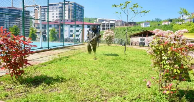 Giresun’da yaz mesaisine hız verildi