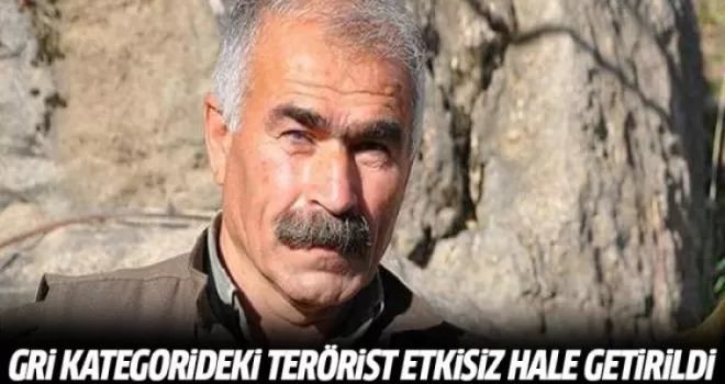 Gri kategorideki terörist etkisiz hale getirildi