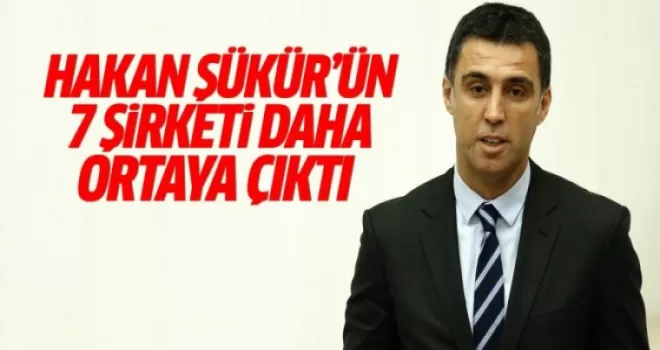 Hakan Şükür'ün 7 şirketi daha ortaya çıktı