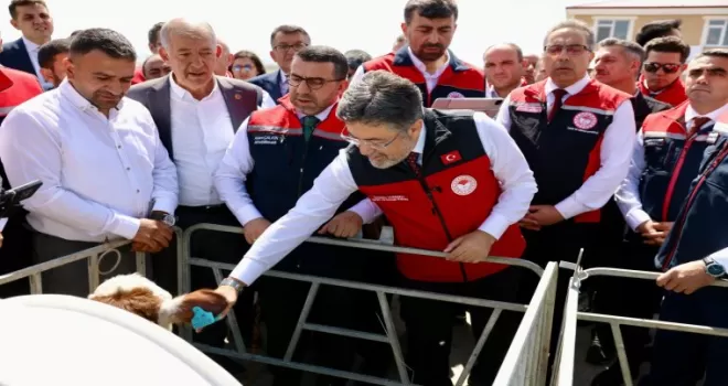Hayvancılıkta dijital dönem... GEKİS Kars’ta uygulamaya alındı