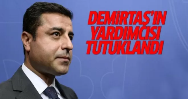 HDP Eş Genel Başkan Yardımcısı tutuklandı