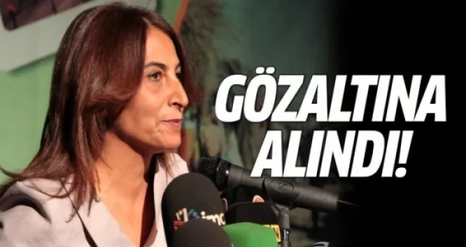 HDP'li Aysel Tuğluk gözaltına alındı