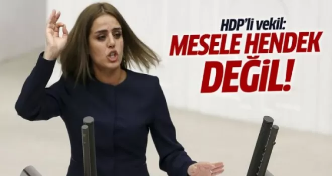 HDP'li vekil: Mesele hendek değil...
