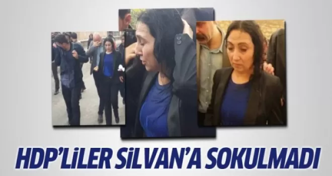 HDP'li vekiller Silvan'a sokulmadı!