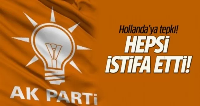 Hollanda'ya bir tepki daha AK Partili üyelerin hepsi istifa etti