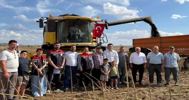 İpsala’da ayçiçeği hasadı heyecanı