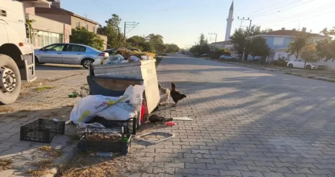 İpsala’da CHP’li Meclis Üyesi’nden Başkan Kerman’a bakımsızlık eleştirisi