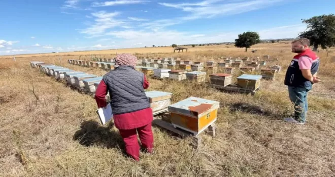 İpsala’da zirai bayi ve arı kovanı denetimleri