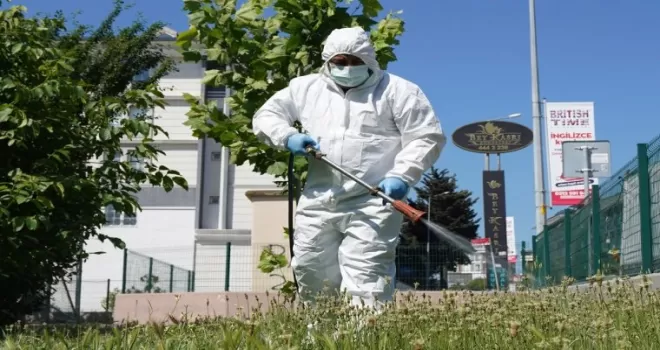 İstanbul Beylikdüzü’nde etkin mücadele tam gaz